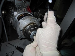 IMG_2925.jpg